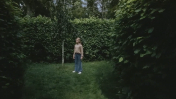 In and Out of the Hornbeam Maze